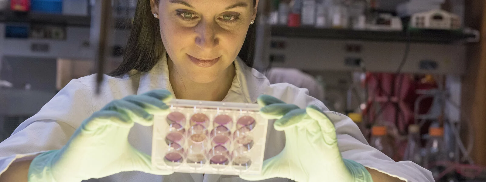 A woman works in the lab