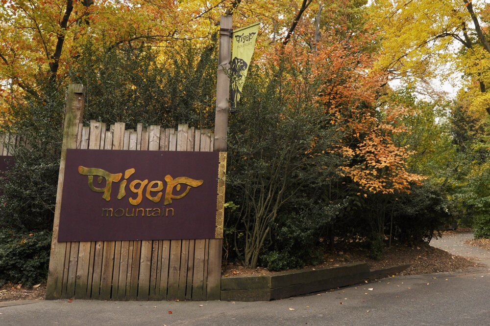 C.V. Starr Tiger Valley Viewing Pavilion within the Tiger Mountain exhibit at the Bronx Zoo.