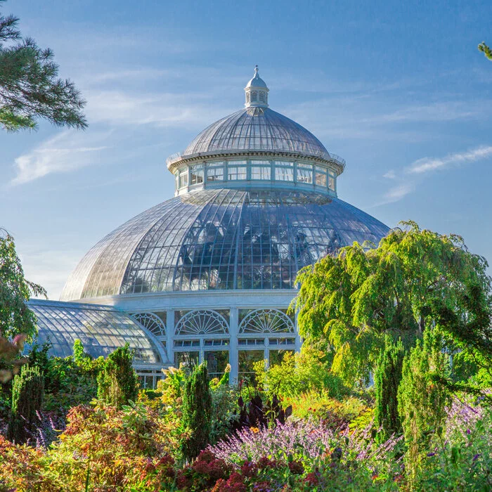 The New York Botanical Garden