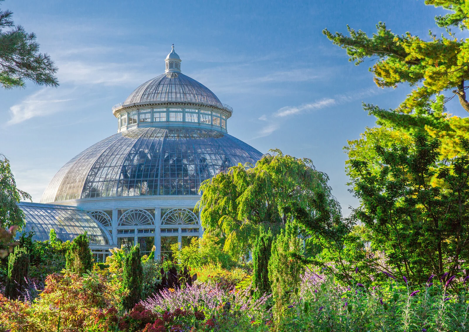 The New York Botanical Garden